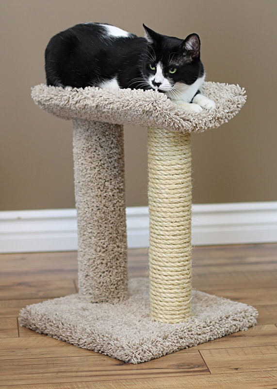 New Cat Condos 18" Premier Sisal Rope Cat Scratching Post & Reviews